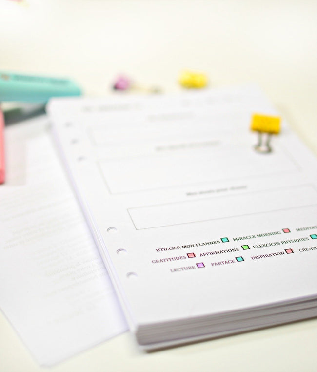 shirley-chiche - Recharge agenda pour organiseur - agenda coach développement personnel