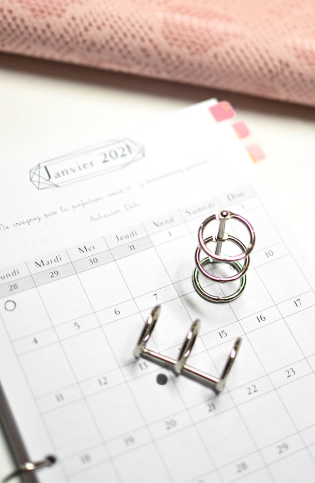 Clips d'archivage agenda X2 - plusieurs choix - Shirley Chiche planner