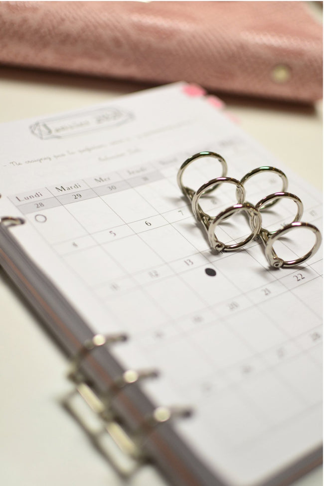 Clips d'archivage agenda X2 - plusieurs choix - Shirley Chiche planner