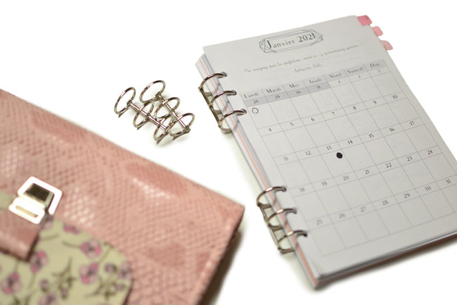 Clips d'archivage agenda X2 - plusieurs choix - Shirley Chiche planner