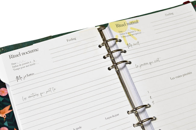 La recharge magique d'écriture matinale et nocturne, le rituel qui ancre - Shirley Chiche planner