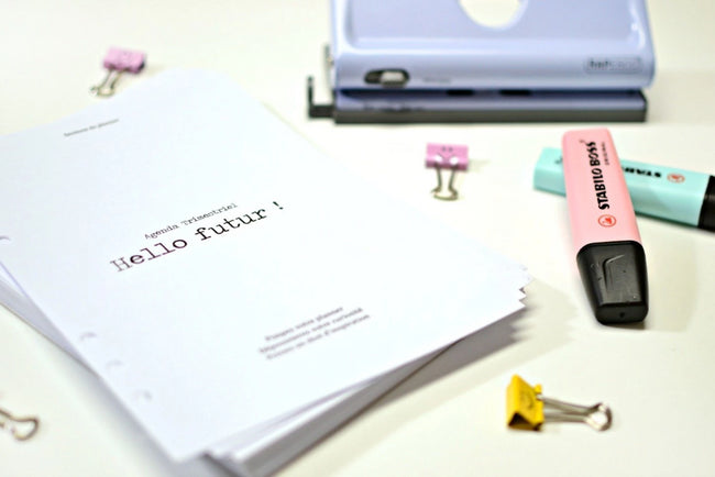 shirley-chiche - Recharge agenda pour organiseur - agenda coach développement personnel